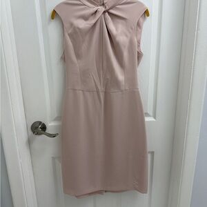 Club Monaco Blush Pink Dress